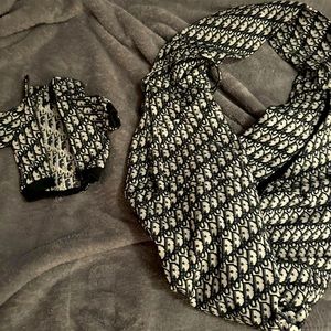 Dior Toy Dog Carrier & Jacket